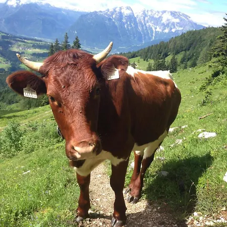 Hager Appartement Kuchl