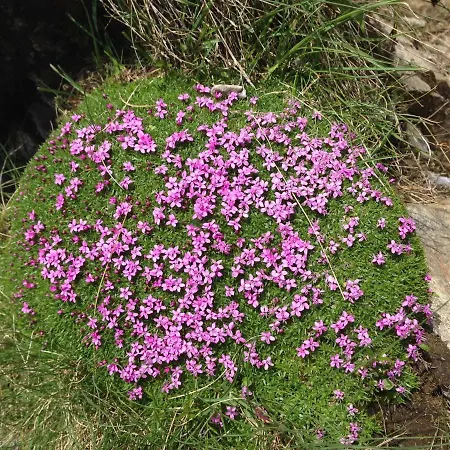 Lejlighed Hager Kuchl