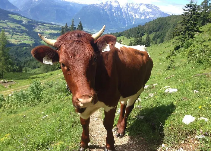 Hager Апартаменты Кухль