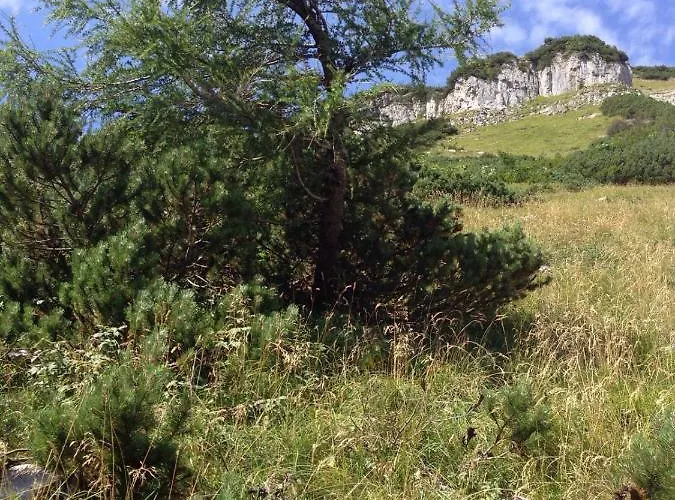 Hager